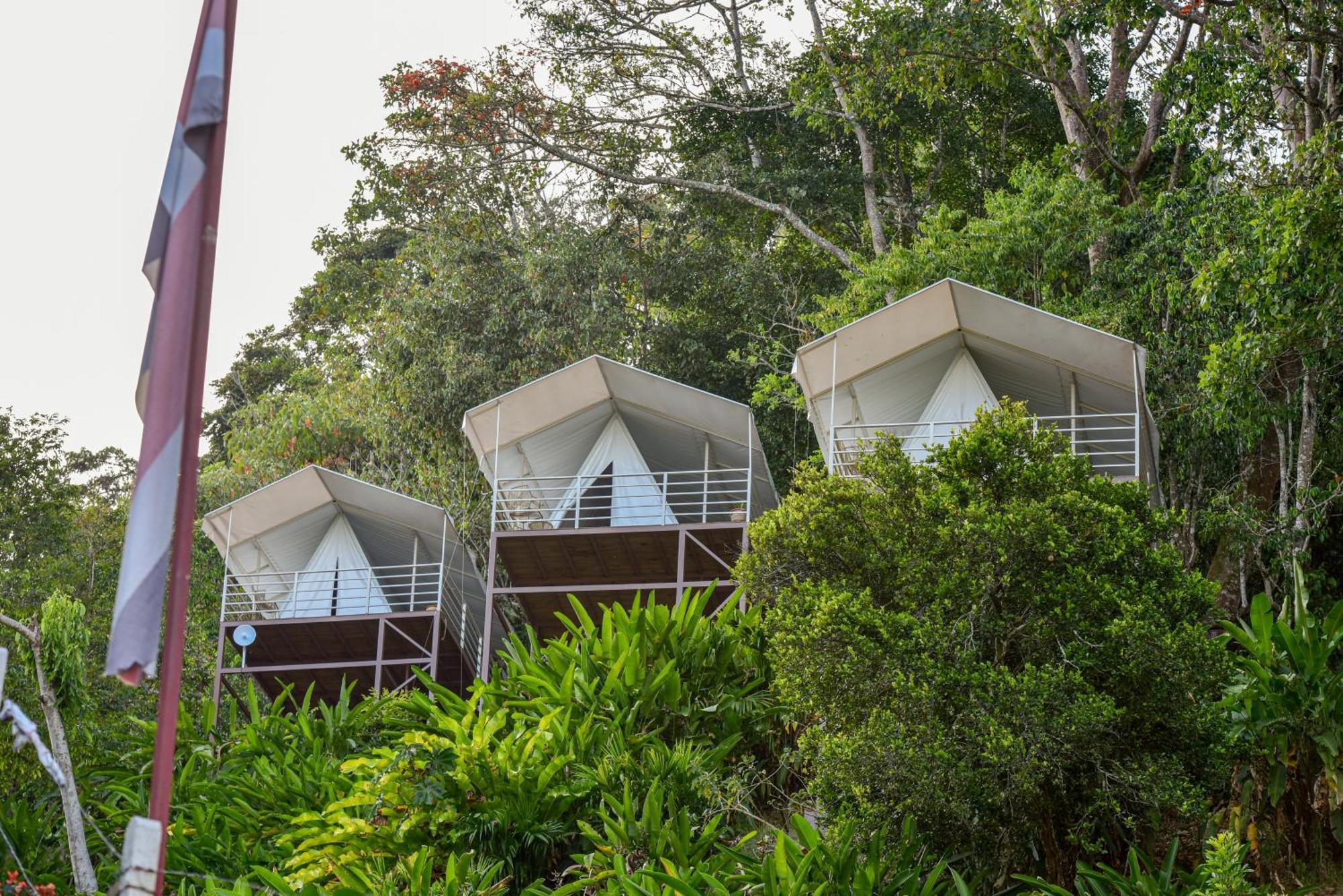 Quimera Glamping Pacuar Exteriör bild